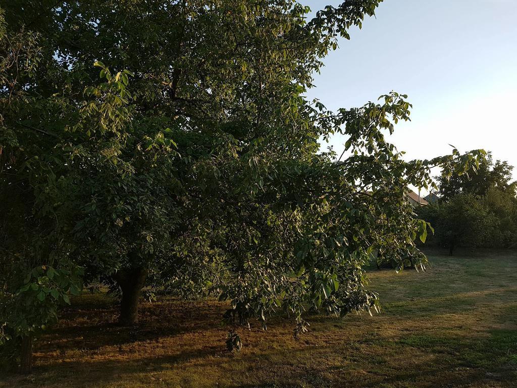 Feszty-fészek Vendégház Tiszafüred Exterior foto